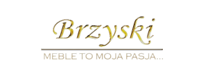 Logo BrzyskiMeble